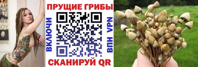 Галлюциногенные грибы GOLDEN TEACHER Артём